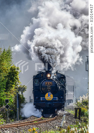 SL Yamaguchi 81014437