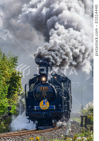 SL Yamaguchi 81014440