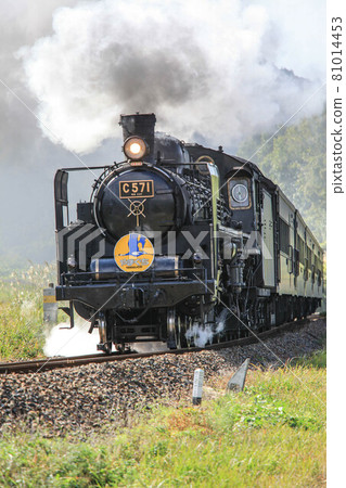 SL Yamaguchi 81014453