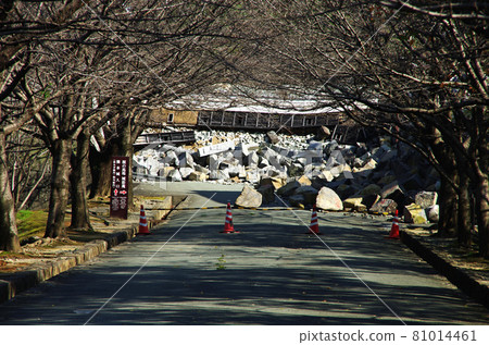 The stone wall collapse of the castle of Kumamoto Castle The stone wall collapse of the castle of Kumamoto Castle 81014461