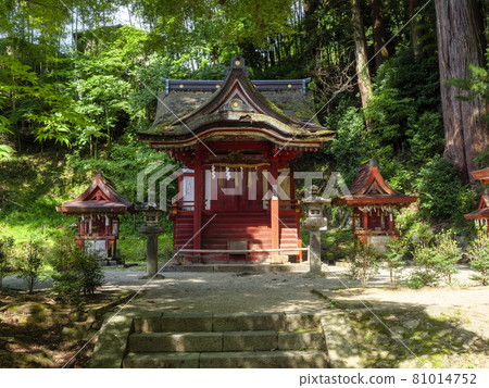 【奈良風景】綠意盎然的坦山神社 81014752