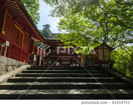 【奈良風景】綠意盎然的坦山神社 81014753