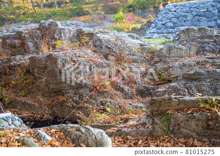 Arakawa Nagatoro Autumn Horaijima Park Rocks 81015275