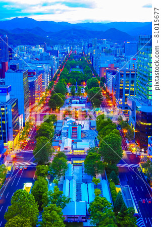 View of Sapporo Odori Park Sightseeing in Hokkaido 81015677