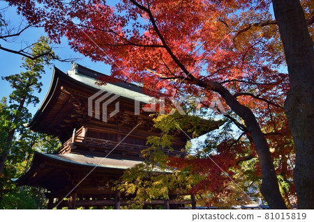 Kamakura in autumn colors Engakuji 81015819