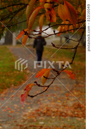 A walk in late autumn. Wear it firmly to prevent the cold. 81016049