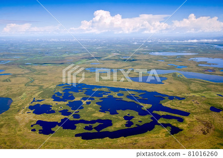 Amazing summer arctic landscape 81016260