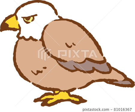 一隻鬆散的鷹站立的插圖 一隻鬆散的鷹站立的插圖 81016367