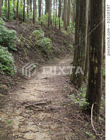奈良和三重交界處的高見山登山道 81016597