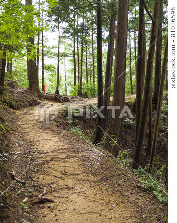 奈良和三重交界處的高見山登山道 81016598