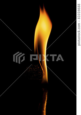 Fire flames 81016688