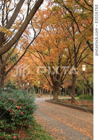 Winter at Utsubo Park (Nishi-ku, Osaka) Winter at Utsubo Park (Nishi-ku, Osaka) 81016768