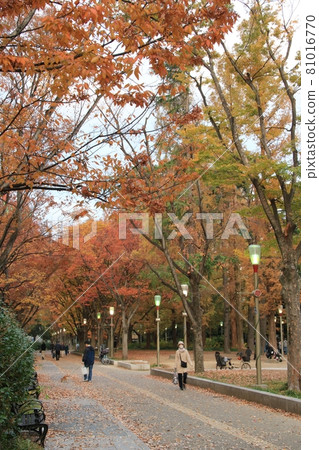 Winter at Utsubo Park (Nishi-ku, Osaka) 81016770