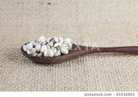 Millet rice in wood spoon on sackcloth. 81016903