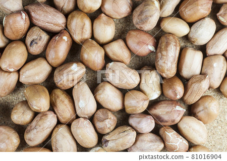 Peanut  background. 81016904
