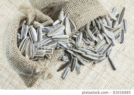 Sunflower seeds in sacks. 81016985