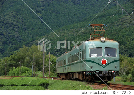 Oigawa Railway Oigawa Railway 81017260