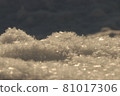 Snowflakes illuminated by the morning sun 81017306