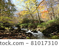 Colorful and vivid canyon beauty 81017310