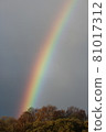 A colorful seven-colored rainbow over the northern land 81017312