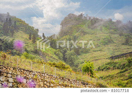 Landscape of Sapa in the fog, Northwest Vietnam. Vietnam opens to tourism after quarantine Coronovirus COVID 19 Landscape of Sapa in the fog, Northwest Vietnam. Vietnam opens to tourism after quarantine Coronovirus COVID 19 81017718