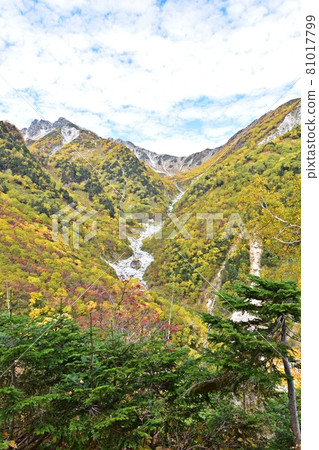 秋色中前往橫尾本屋和南嶽唐澤的山路 81017799