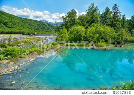 Superb view of Shirogane Blue Pond in Biei Superb view of Shirogane Blue Pond in Biei 81017858