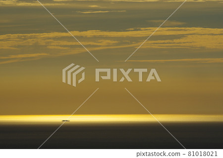 Evening view of the Sea of Japan from the Saizuru Forest Road (Shishiku Highland) 81018021