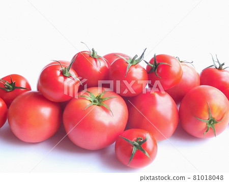 Tomato Tomato Glitter bright red cute tomato Tomato Tomato Glitter bright red cute tomato 81018048