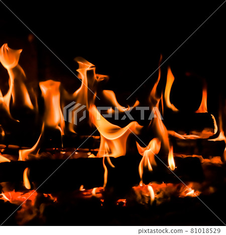 Red blaze Fire flame on a black background 81018529