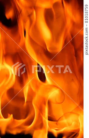 Red blaze Fire flame on a black background 81018759