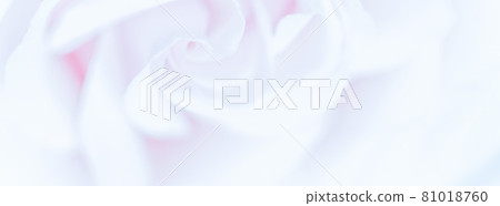 Soft focus, abstract floral background, purple rose flower. Macro flowers backdrop for holiday brand design 81018760