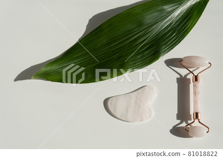 Pink guache scraper, roller and green leaf on a white table. Equipment for self-massage and skin care for the face and neck. Pink guache scraper, roller and green leaf on a white table. Equipment for self-massage and skin care for the face and neck. 81018822