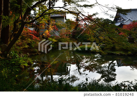 Autumn leaves of Komaki Komingoji Autumn leaves of Komaki Komingoji 81019248