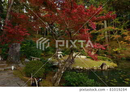 Komaki Komingoji秋葉 81019284