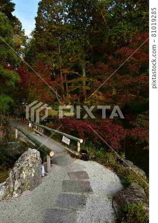 Autumn leaves of Komaki Komingoji Autumn leaves of Komaki Komingoji 81019285