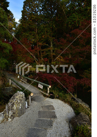 Autumn leaves of Komaki Komingoji Autumn leaves of Komaki Komingoji 81019286