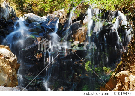 箱根飛龍瀑布與秋葉 81019472