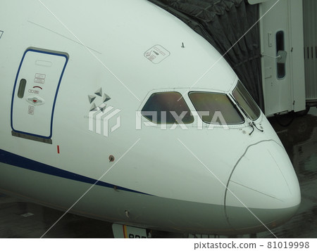 Airplane up Haneda International Airport 81019998