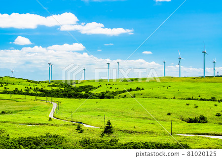 Hokkaido Summer Soya Hills (Wind Farm) Hokkaido Summer Soya Hills (Wind Farm) 81020125