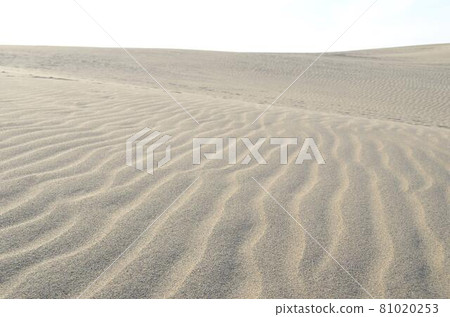 Tottori sand dunes 81020253