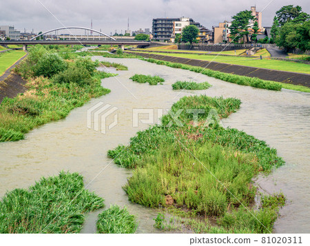 Sai River flooded by rain Sai River flooded by rain 81020311