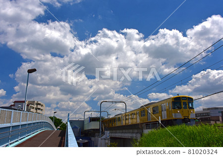 Summer blue sky 81020324