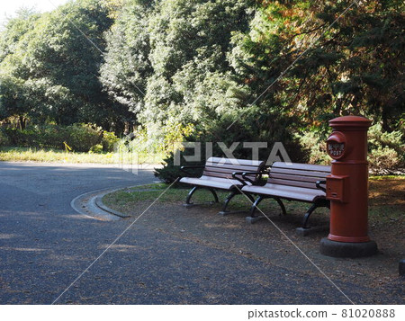 公園的長椅上 公園的長椅上 81020888