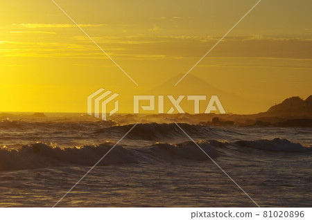 從金色的天空和波濤洶湧的海岸看富士山 81020896