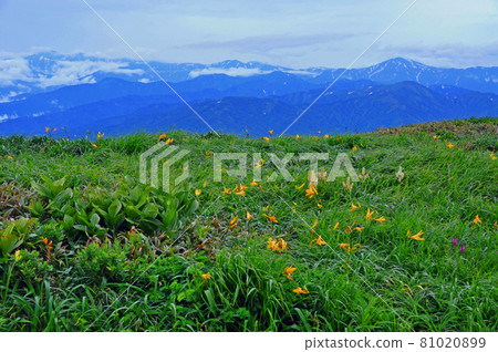 山形縣夏季的月山，從山頂俯瞰朝日山脈。 81020899