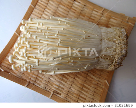 金針菇蘑菇金針菇配料 金針菇蘑菇金針菇配料 81021699