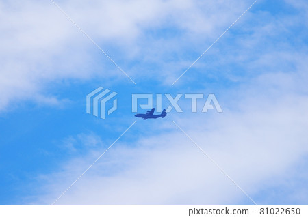 C-130 Hercules flying in the blue sky 81022650