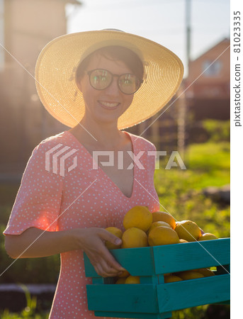 Young caucasian positive woman gardener in hat and pink dress holds box with lemons in her hands on sunny summer day. Concept of farming and organic gardening Young caucasian positive woman gardener in hat and pink dress holds box with lemons in her hands on sunny summer day. Concept of farming and organic gardening 81023335