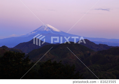 沼津阿爾卑斯山背景中的粉紅色早晨顏色和降雪富士山 沼津阿爾卑斯山背景中的粉紅色早晨顏色和降雪富士山 81023505